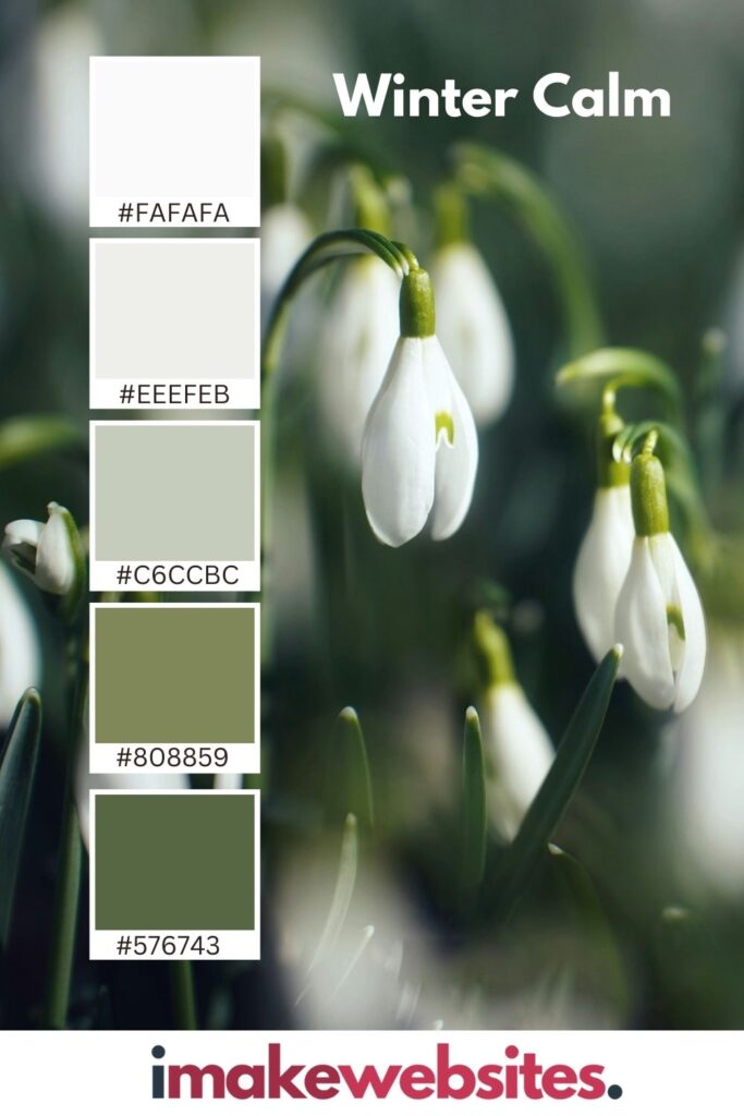 Winter colour palette inspiration winter greens calm and soothing winter colour palette inspiration
